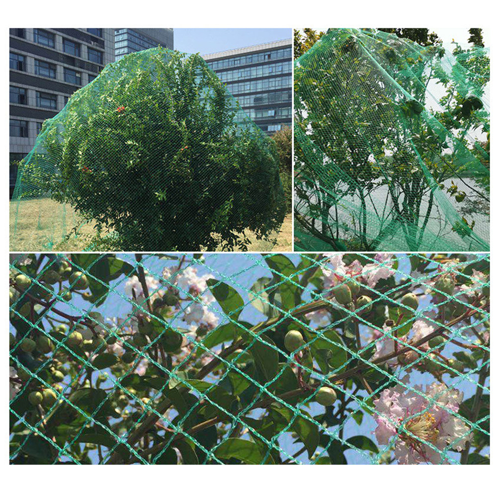 15M Anti Bird Net Green Fruit  - Agriculture Gardening Farming recension och pris